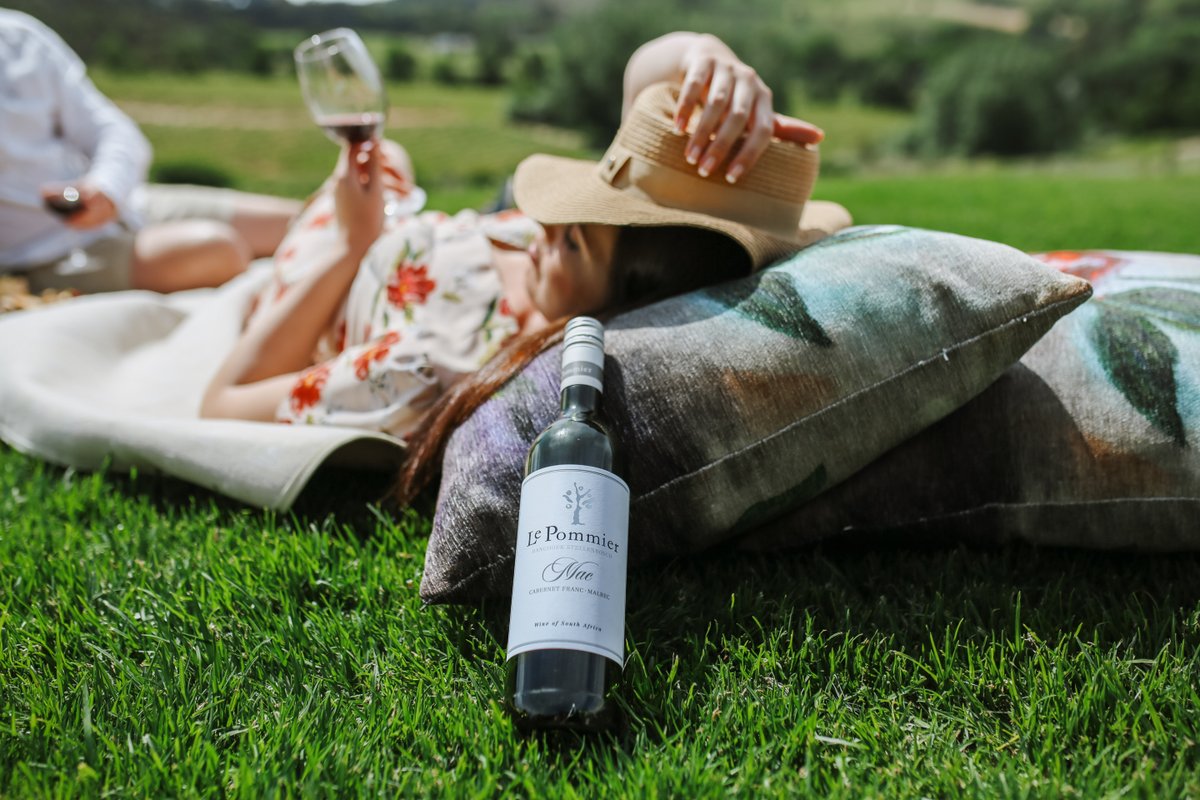 “Slow Sundays, red wine, and vineyard sunsets 🌄🍷 Your Winelands reset starts here.”
#SundaySundowners #RedWineVibes #LePommierViews