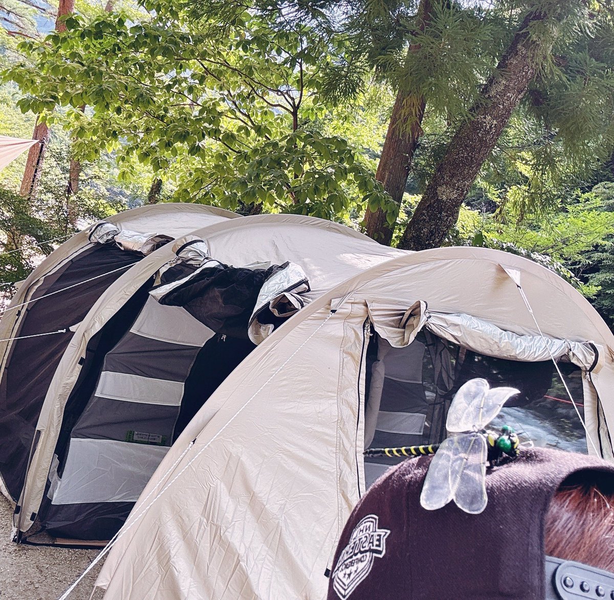 mo_nu_666's tweet image. 設営完了した〜！🏕️
エメラルドグリーンの川見ながら飲んでる！最高〜🥹🫶