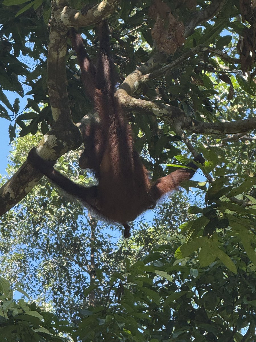 Ponteland High tweet media