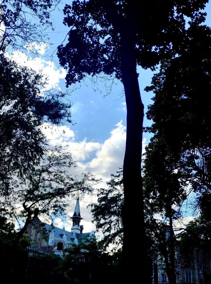 Катерина Галич tweet media