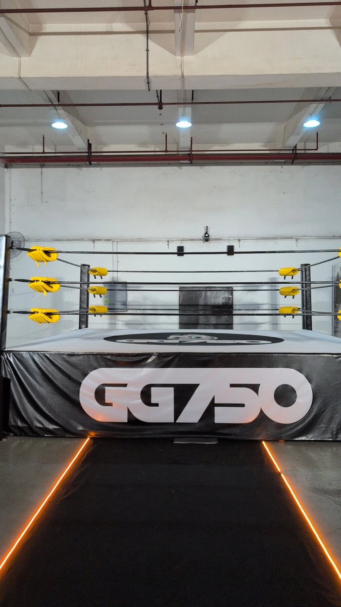 中国🇨🇳2連戦　　
最高に熱い闘い

ブッファさん　ヤッシーさん
磐城さん　ジョニーさん
#GG750 の皆様
ありがとうございました☺️

#TeamMotion