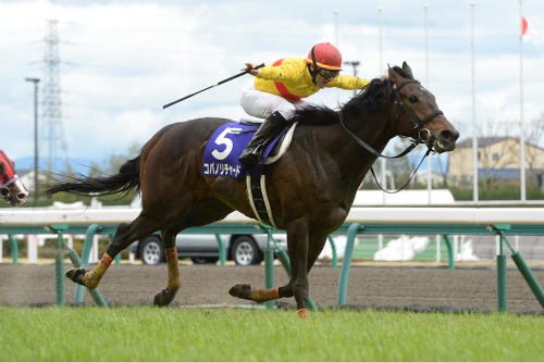 ミルコ・デムーロ騎手

日本での騎乗、大変お疲れ様でした❗️

アメリカでも羽ばたいてこい🪽

そしてまた日本で見れる日を楽しみに待ってる👍

いってらっしゃい❤️