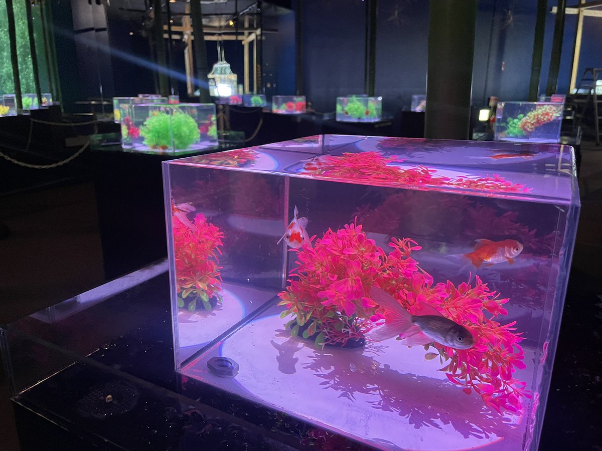 南知多ビーチランド【公式】 on X