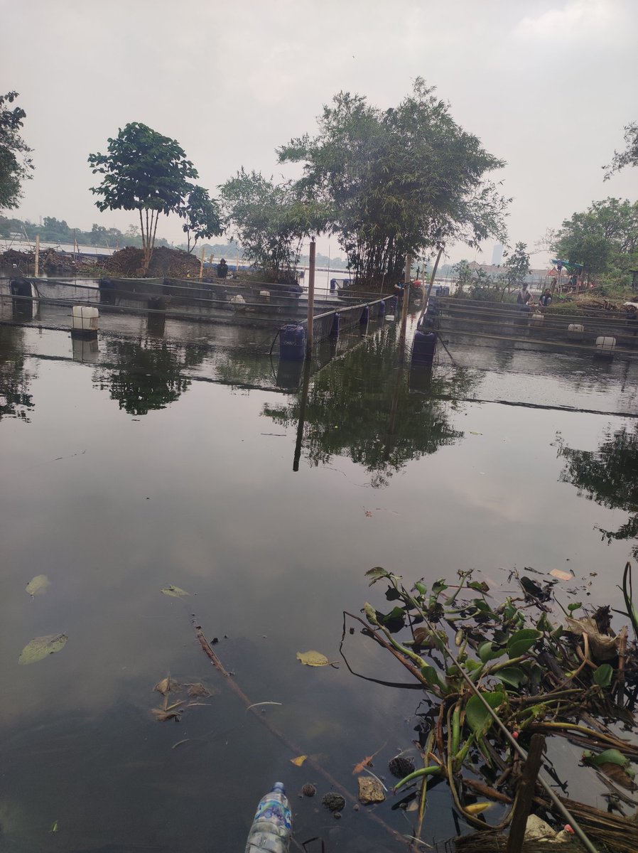 Proof of fishing <a href="/SuccinctLabs/">Succinct</a> 👀

Hweekend provers