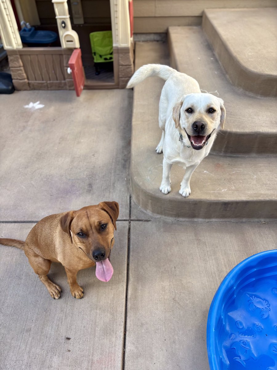 Kevin Ross (@oncourseturf) on Twitter photo Hanging with some of the important things in my life! <a href="/turfnet/">TurfNet</a> <a href="/DogsOfTurf/">Dogs Of Turf</a> <a href="/hofner1317/">Carey Hofner</a> Hanging with some of the important things in my life! <a href="/turfnet/">TurfNet</a> <a href="/DogsOfTurf/">Dogs Of Turf</a> <a href="/hofner1317/">Carey Hofner</a>