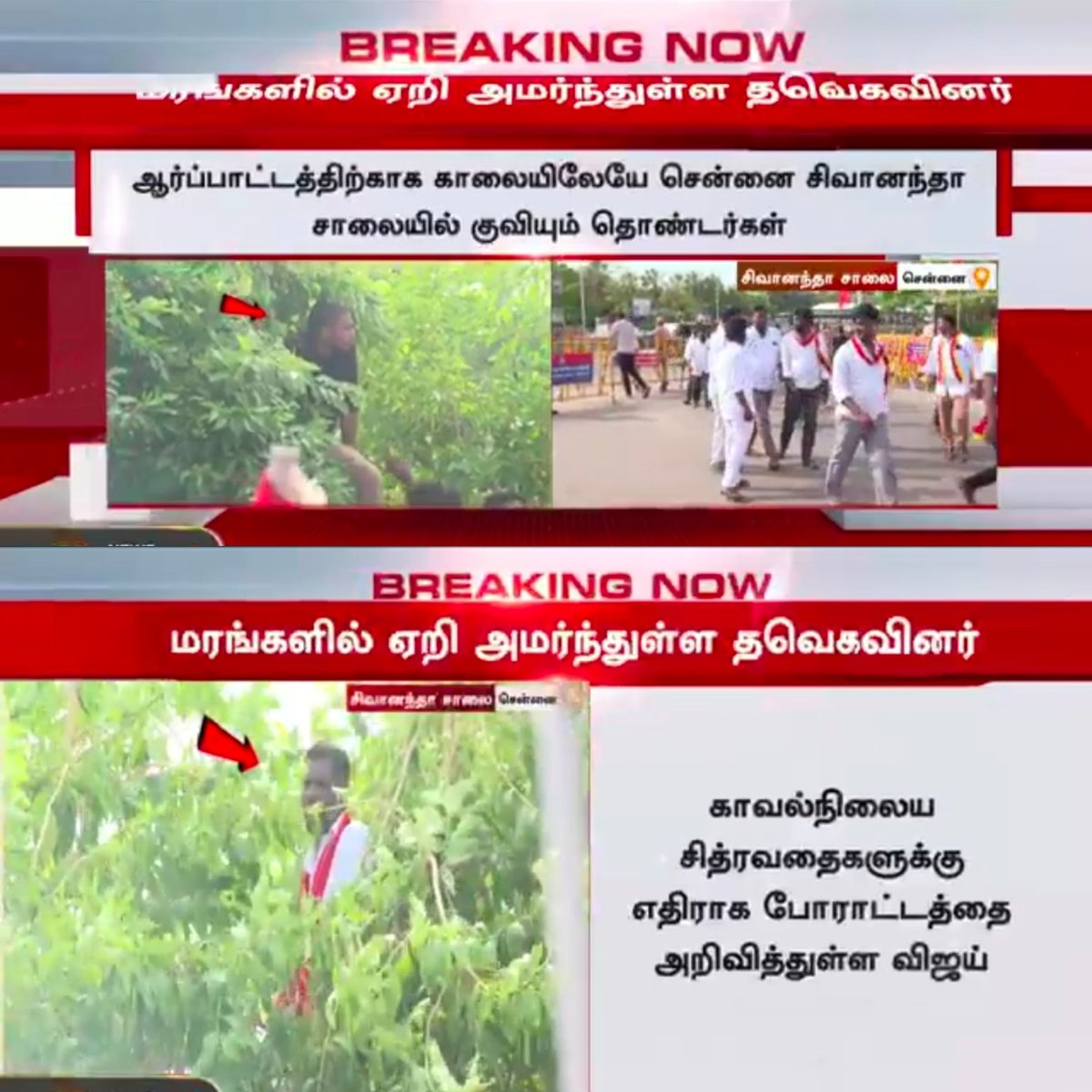 Anil's spotted on tree 🤭🤭

Arikai ila 13 Point ah Add pane irukulam Maram Earakudathu nu..
<a href="/TVKVijayHQ/">TVK Vijay</a> 😂😂