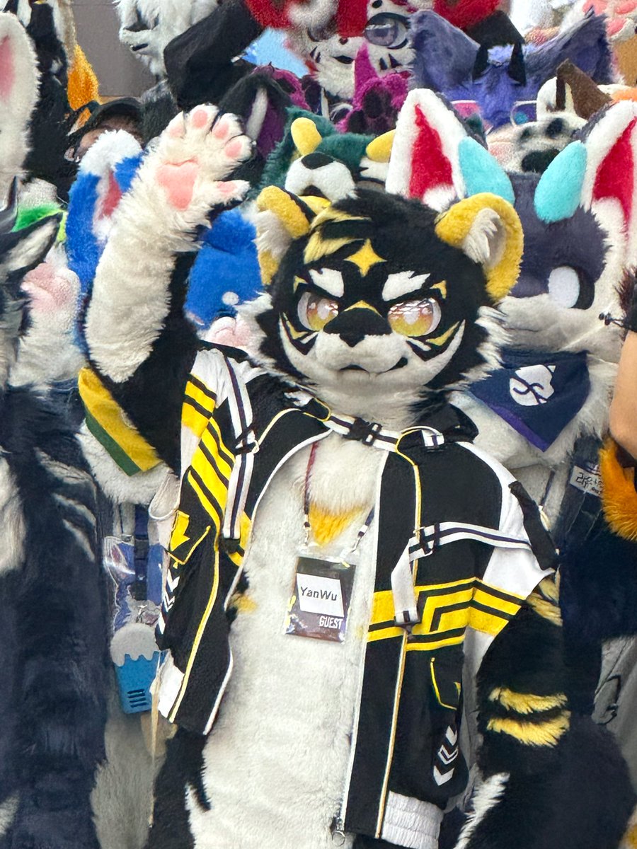 BlackYanWu's tweet image. Its great to meet everyone here！！！🐯🫶🏻🫶🏻🫶🏻
 #FurstClass