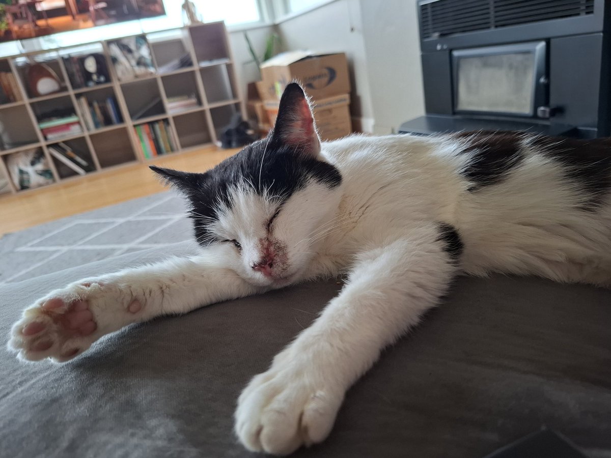 GigglingGhosty tweet media