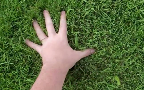 truegodmode's tweet photo. Yeah yeah i love it...
#openseatouchgrass https://t.co/vr3Pk0Jv7b
