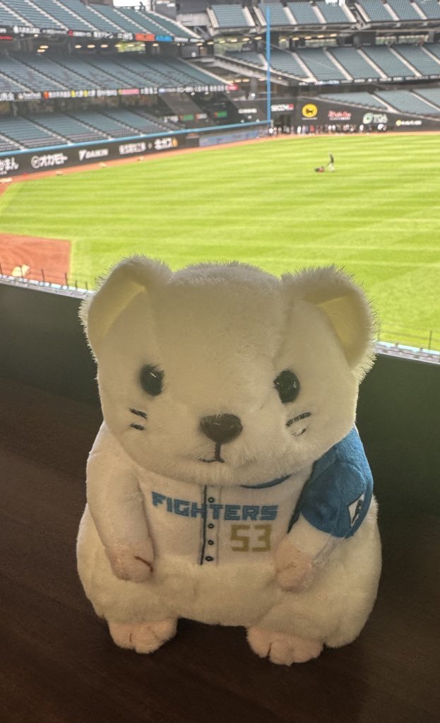 エスコン限定 選手くじ　オコジョぬいぐるみ　3等レイエス選手　4等伏見選手 日本ハムファイターズ 動物ぬいぐるみくじ 4等オコジョ【伏見寅