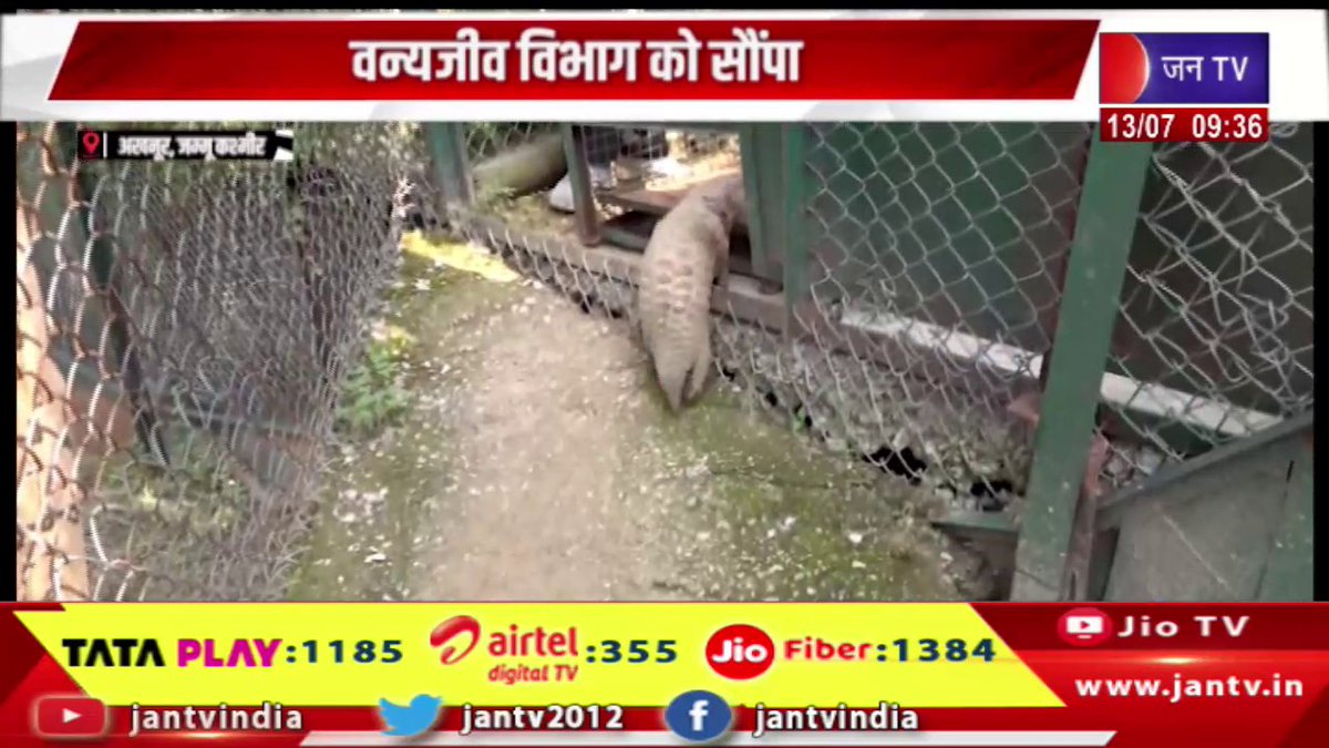 JAN TV (@jantv2012) on Twitter photo Jammu and Kashmir | рдирд┐рдпрдВрддреНрд░рдг рд░реЗрдЦрд╛ рдХреЗ рдХрд░реАрдм рдЕрдЦрдиреВрд░ рд╕реЗрдХреНрдЯрд░ рдореЗрдВ рдПрдХ рдкреИрдВрдЧреЛрд▓рд┐рди рдХреЛ рдмрдЪрд╛рдпрд╛, рд╡рдиреНрдпрдЬреАрд╡ рд╡рд┐рднрд╛рдЧ рдХреЛ рд╕реМрдВрдкрд╛ | JAN TV
youtu.be/7cn5FytiBqo
#jammuandkashmir #pangolin #rescued #Akhnoorsector #lineofcontrol #wildlifedepartment #Jantv_vkj Jammu and Kashmir | рдирд┐рдпрдВрддреНрд░рдг рд░реЗрдЦрд╛ рдХреЗ рдХрд░реАрдм рдЕрдЦрдиреВрд░ рд╕реЗрдХреНрдЯрд░ рдореЗрдВ рдПрдХ рдкреИрдВрдЧреЛрд▓рд┐рди рдХреЛ рдмрдЪрд╛рдпрд╛, рд╡рдиреНрдпрдЬреАрд╡ рд╡рд┐рднрд╛рдЧ рдХреЛ рд╕реМрдВрдкрд╛ | JAN TV
youtu.be/7cn5FytiBqo
#jammuandkashmir #pangolin #rescued #Akhnoorsector #lineofcontrol #wildlifedepartment #Jantv_vkj