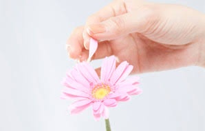a_k_achang's tweet photo. 【こいつの花占い】

　　　　　　　いらない　　全然いらない

　　　　　　　いらない　　全然いらない https://t.co/safoCVJf9T