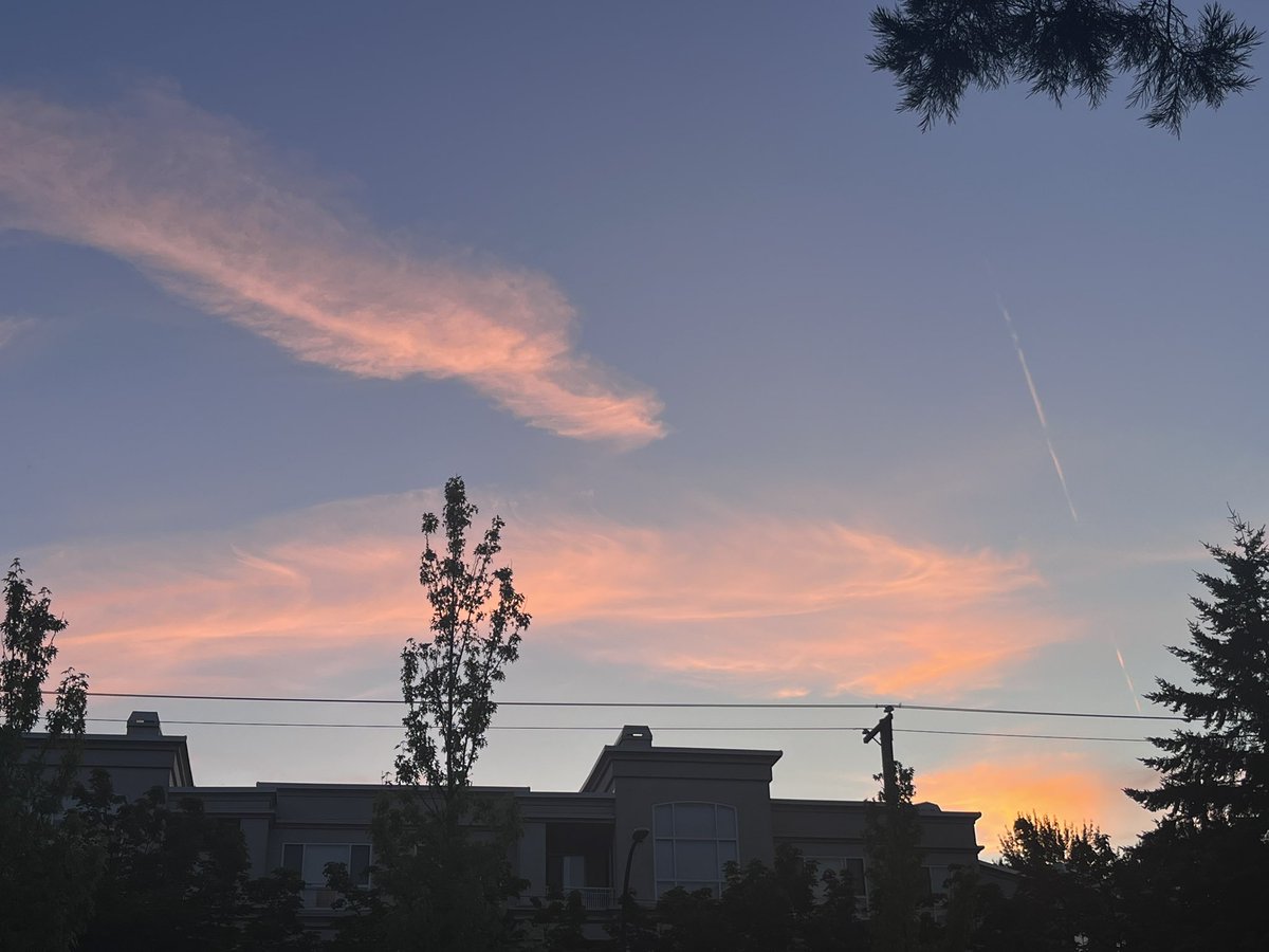 Anna Bukowska tweet media