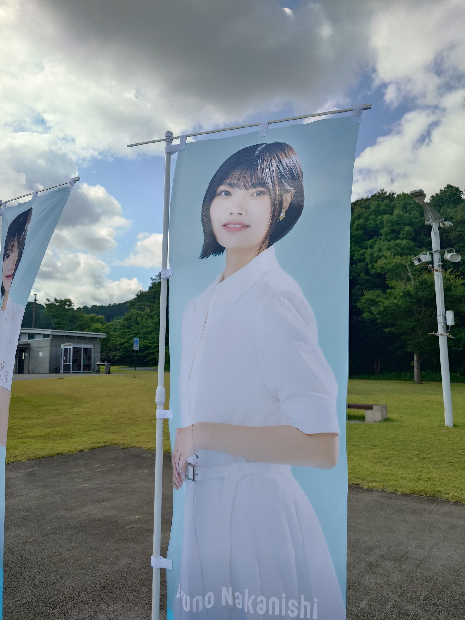 🗻なんとか なる🌻◢⁴⁶ on X: 