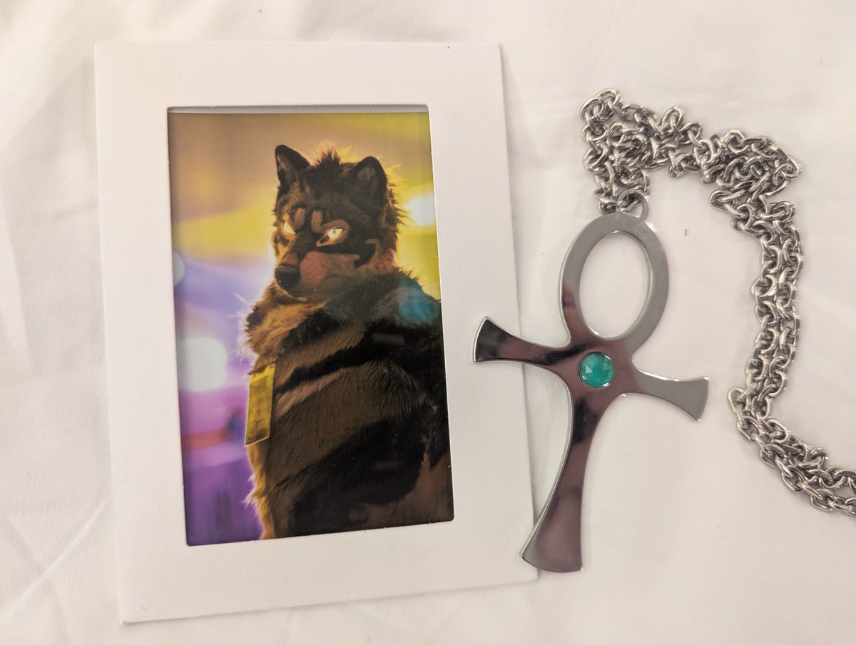 MinelodyWolf's tweet image. Thanks to whoever took and gave me this photo, it&apos;s really cool! 🥰🥰

#Furstclass2025 #Furstclass