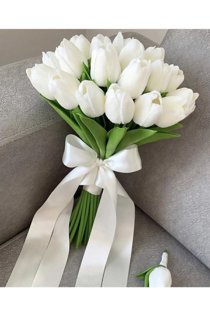 Tulips Library (@tulipslibrary) on Twitter photo 