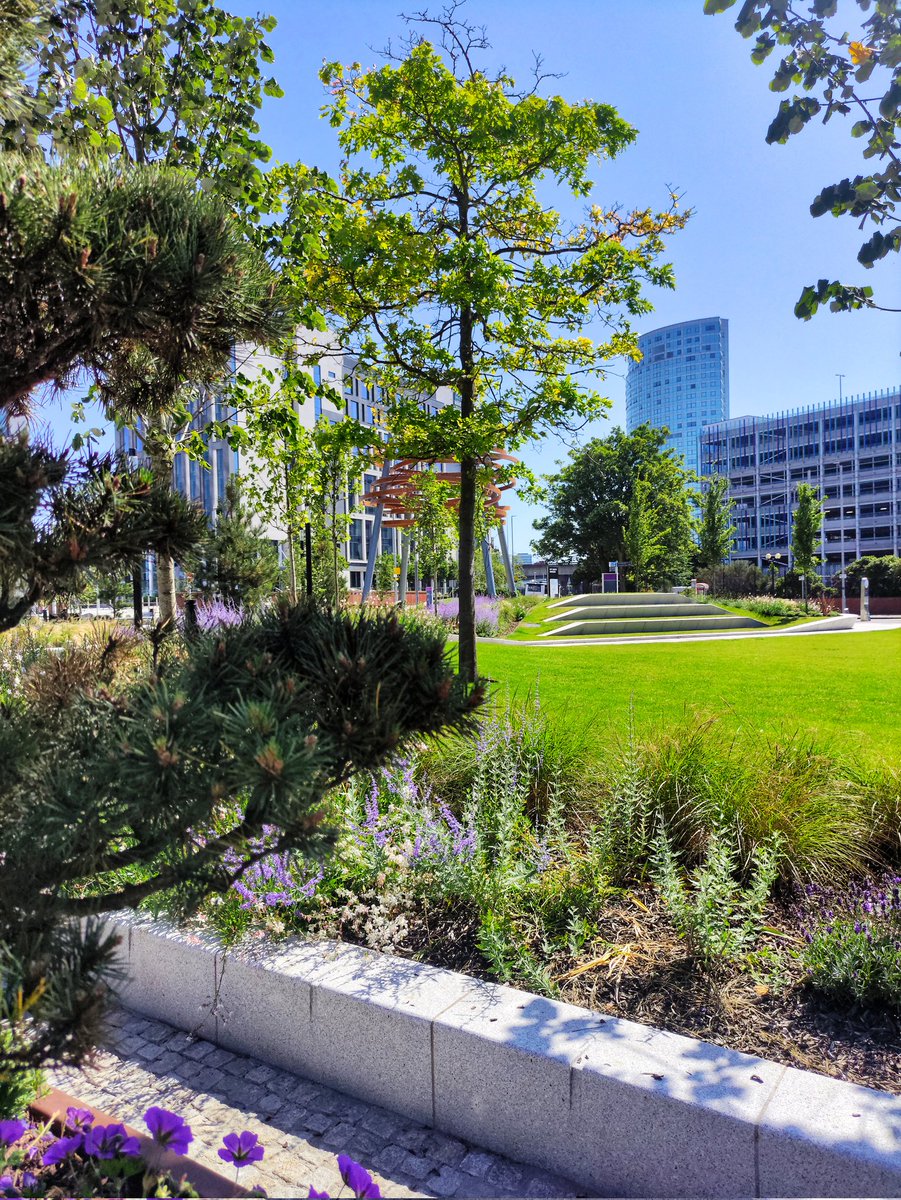 City Quays Gardens, Corporation Square, #Belfast. July 2025. ☀️