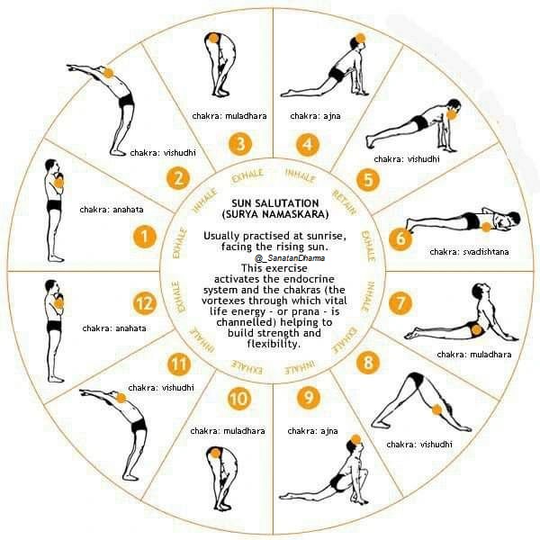 The Power of Surya Namaskara ☀️The Sacred 12-Step Flow that Aligns You with the Sun &amp; Your Chakras.
What if 10 minutes each morning could transform your mind, body &amp; soul?
🧵#Thread Let me introduce you to Surya Namaskara, the most complete yogic ritual ever created. 👇