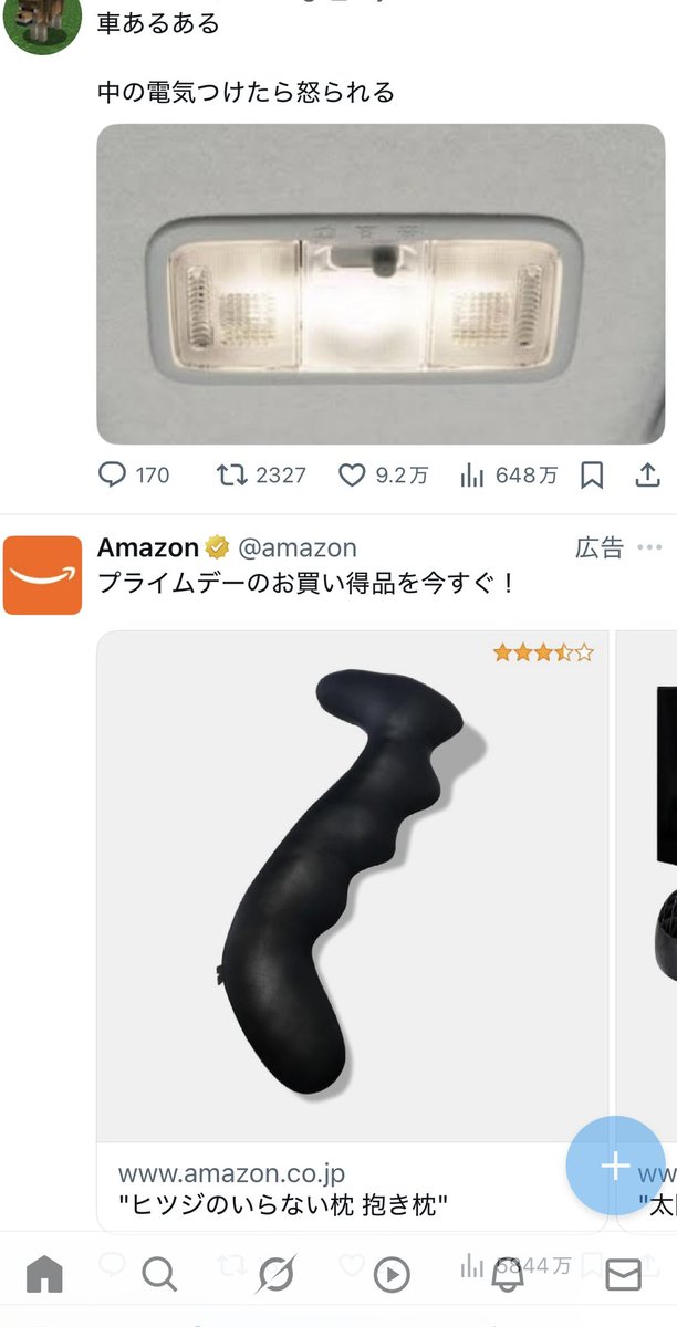 緋猫 tweet media