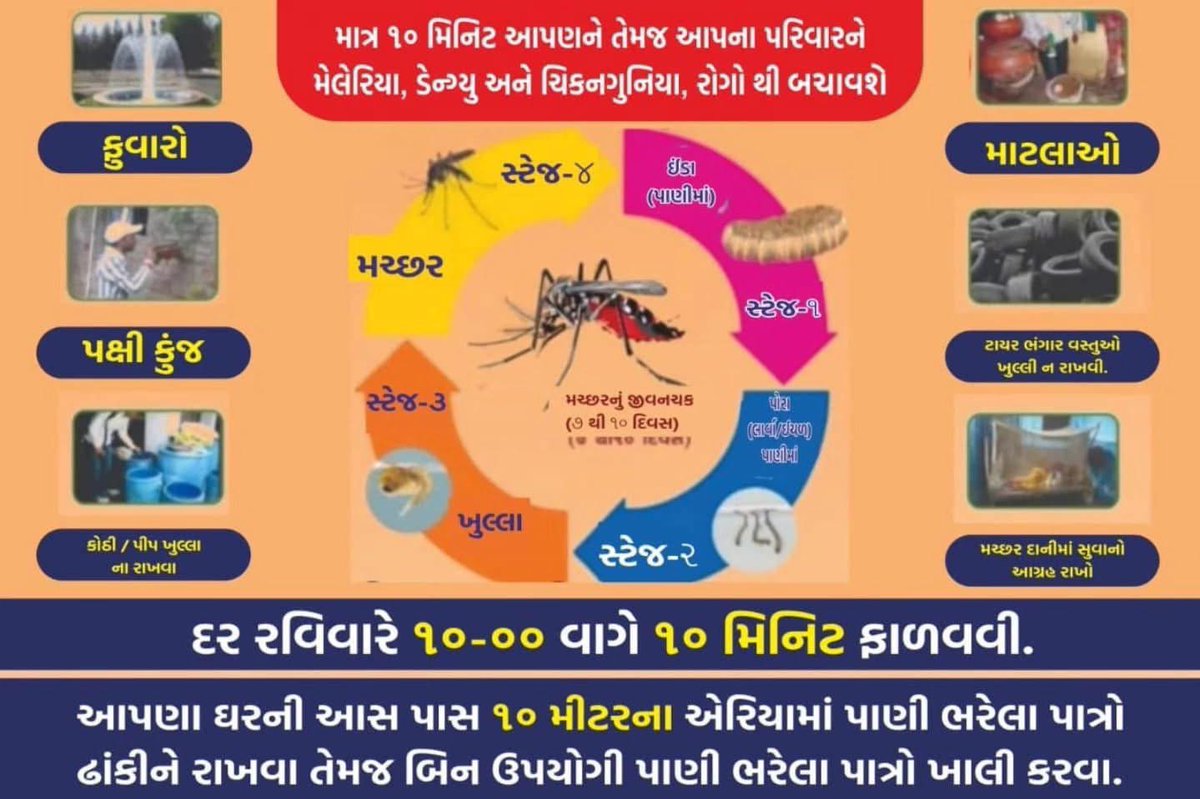 Chief District Health Office (CDHO) MEHSANA (@cdhomeh) on Twitter photo દર રવિવારે ૧૦.૦૦ વાગે ૧૦ મિનીટ ફાળવવી. માત્ર ૧૦ મિનિટ આપણને તેમજ આપના પરીવારને વાહકજન્ય રોગોથી બચાવશે. જિલ્લા આરોગ્યતંત્ર,જિલ્લા પંચાયત,મહેસાણા #HealthCare #Dengue #Chikungunya #Precaution
<a href="/CollectorMeh/">Collector Mehsana</a>
<a href="/ddo_mehsana/">DDO Mehsana</a>
<a href="/GujHFWDept/">GujHFWDept</a>
<a href="/NHMGujarat/">NHM Gujarat</a> <a href="/DmoMeh/">District Malaria Officer , Mehsana</a> <a href="/Dwivedi_D/">Dhananjay Dwivedi</a> દર રવિવારે ૧૦.૦૦ વાગે ૧૦ મિનીટ ફાળવવી. માત્ર ૧૦ મિનિટ આપણને તેમજ આપના પરીવારને વાહકજન્ય રોગોથી બચાવશે. જિલ્લા આરોગ્યતંત્ર,જિલ્લા પંચાયત,મહેસાણા #HealthCare #Dengue #Chikungunya #Precaution
<a href="/CollectorMeh/">Collector Mehsana</a>
<a href="/ddo_mehsana/">DDO Mehsana</a>
<a href="/GujHFWDept/">GujHFWDept</a>
<a href="/NHMGujarat/">NHM Gujarat</a> <a href="/DmoMeh/">District Malaria Officer , Mehsana</a> <a href="/Dwivedi_D/">Dhananjay Dwivedi</a>