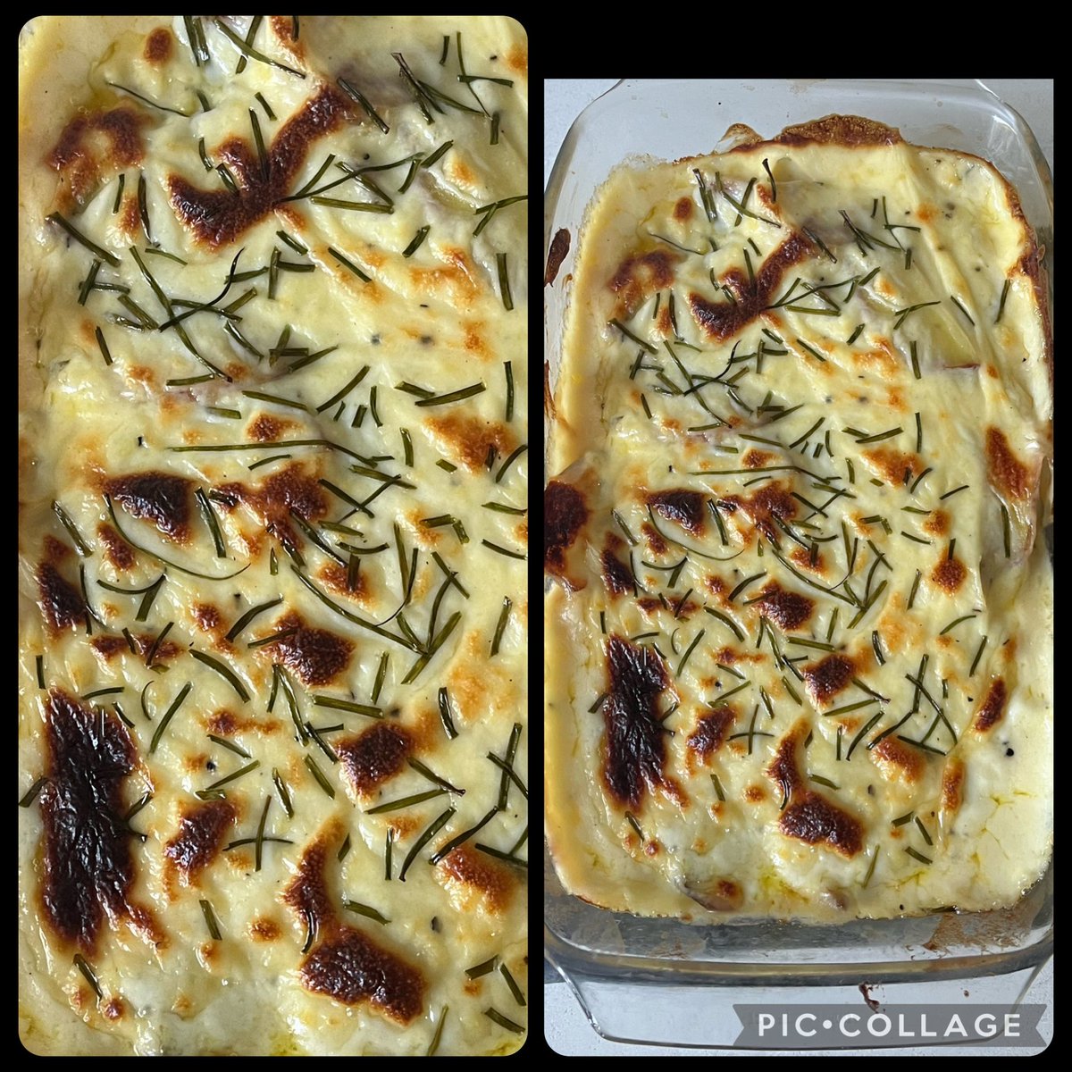 Had a huge #cheese urge despite the temperature! So I made up a recipe 🤣Had my #kohlrabi from plot so sliced and same with my Apache 2nd earlies.40 mins in oven with stock  til evaporated then slathered on a huge cheese sauce  and 15 mins in oven. Topped with chives. Yum.