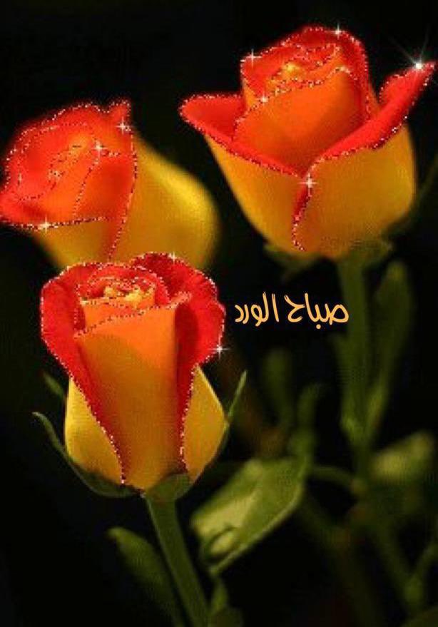 اللهُم نسألك اليُسر لمن يعاني العُسر
والراحة لمن به هم والسعادة للمهموم 
والشفاء للمريض والرحمة للميت
والإجابة لِمن دعاك 

 #صباح_الخير
