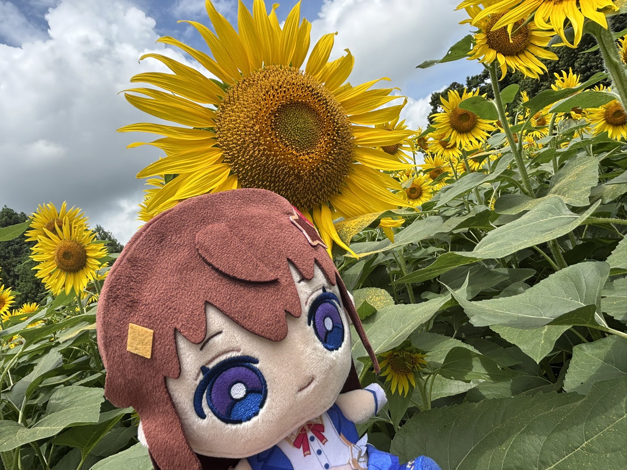 たかと🌸☄️🐻️💿 on X: 