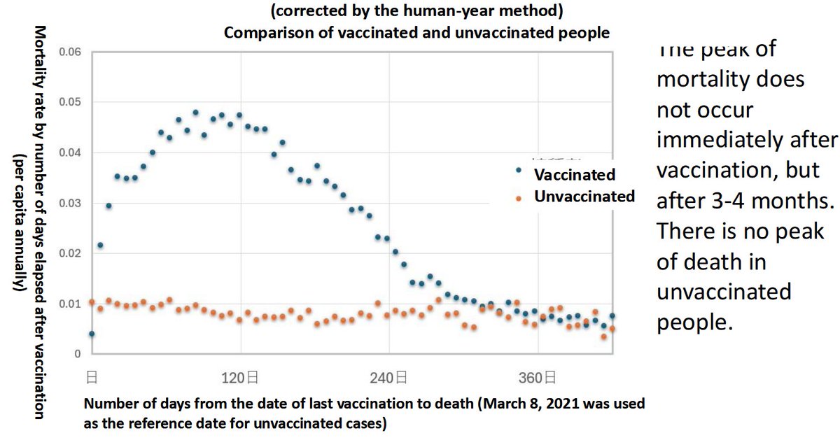 One of the key takeaways from the Japanese COVID jab database disclosure today is that if you took a COVID jab and you did NOT die within a year, your odds of dying are now no higher than the death odds of an unvaccinated person. The COVID jabs actually produced the most deaths