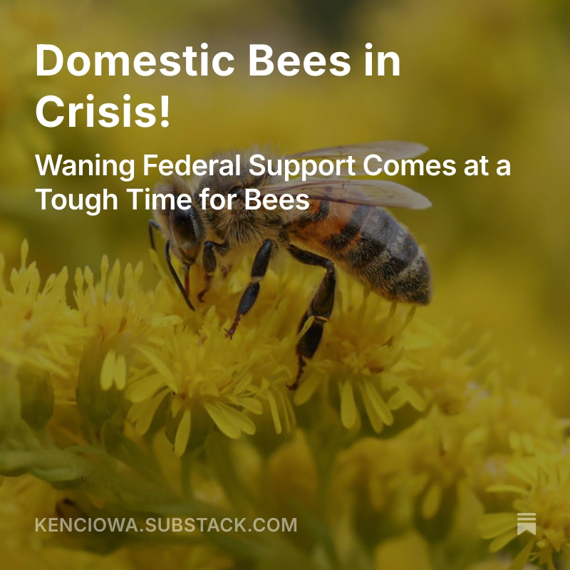 TechMobilityPod's tweet image. The interconnected nature of our technological and ecological challenges becomes clear when considering the crisis facing both domestic honeybees and native wild bees. As pollinators of 80% of flowering plants worldwide, their decline poses a significant threat to our food…