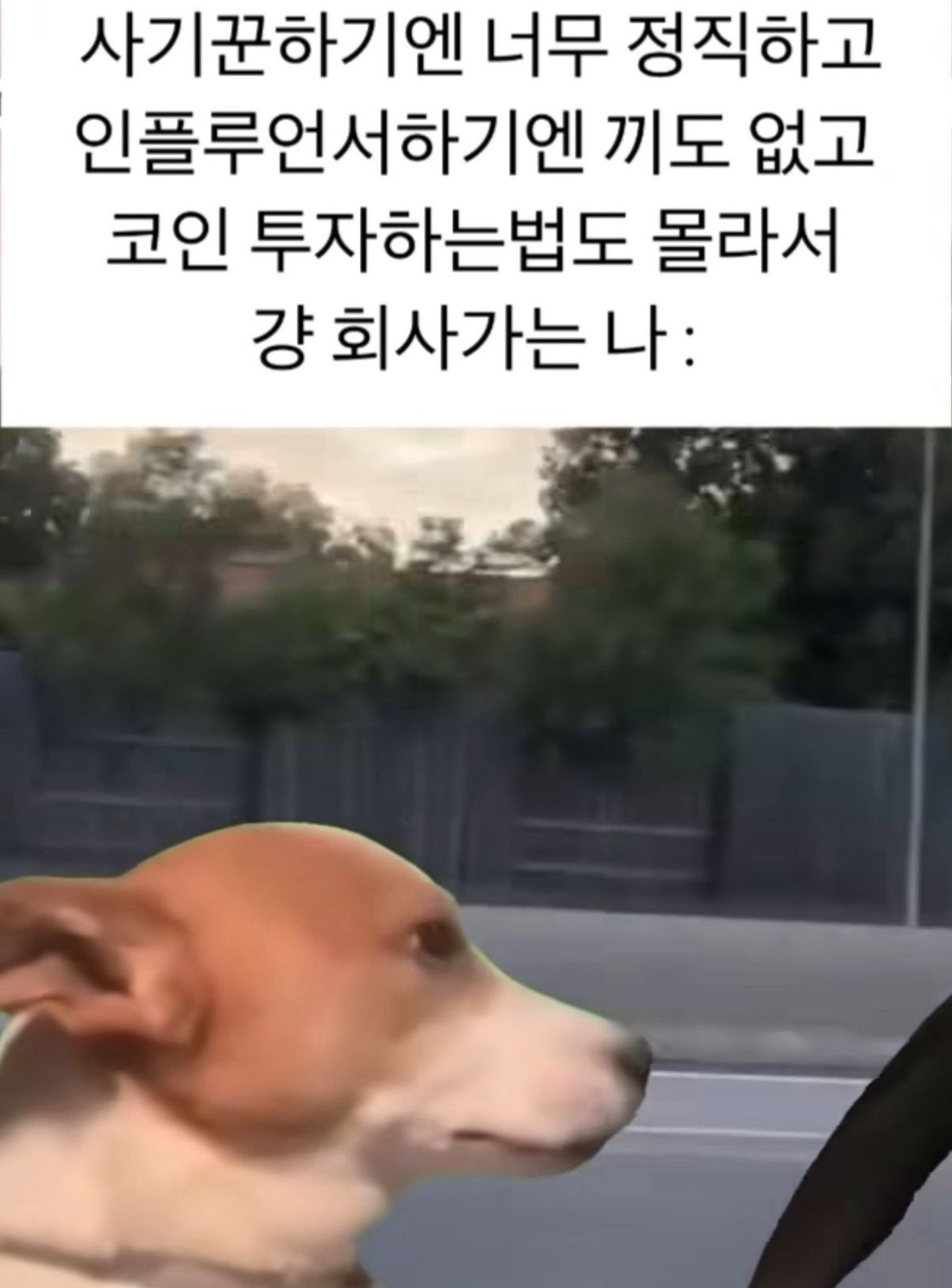 뿌웅🍃 (@7yVGnve8o7oo1a8) / X