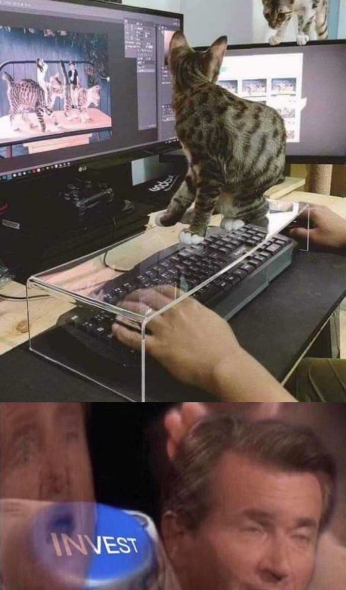 For everyone who have cats