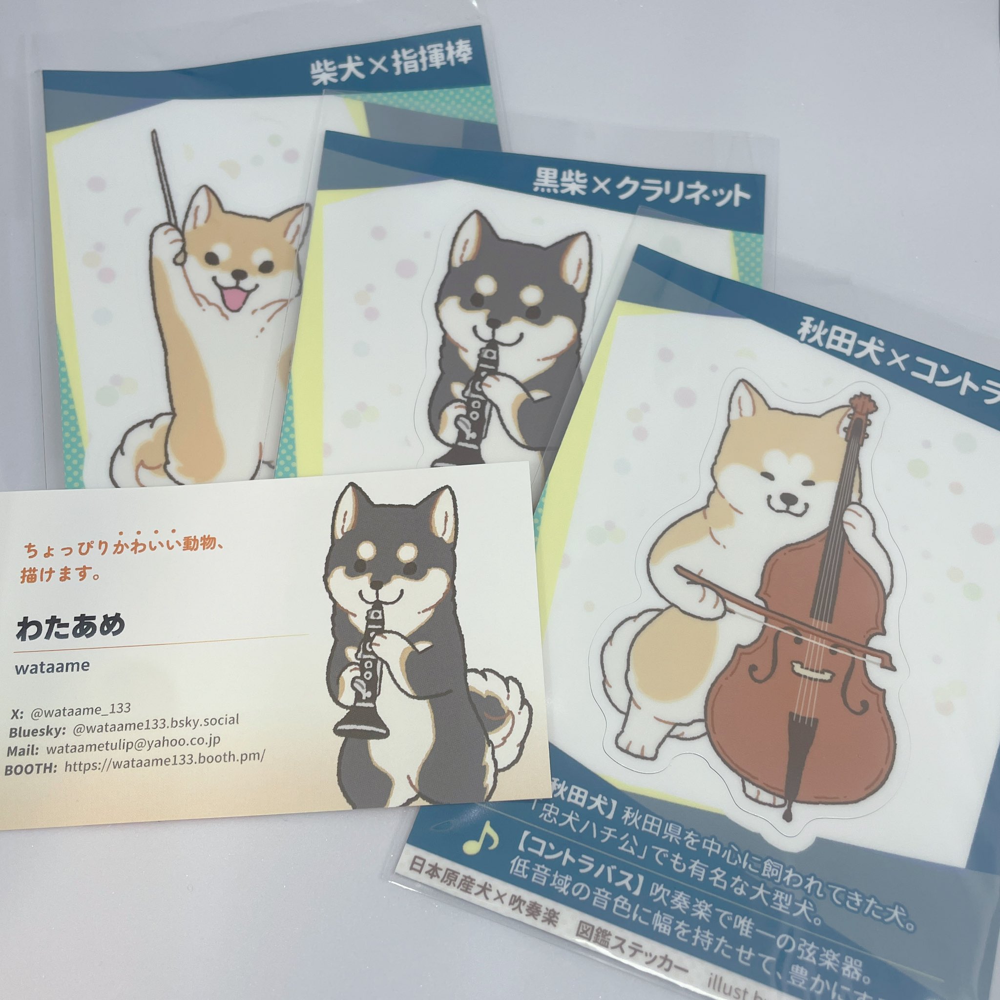 わたあめ⭐︎⭐︎ Amazon.co.jp: SCILLO(エスシーアイエルエルオ) コットン