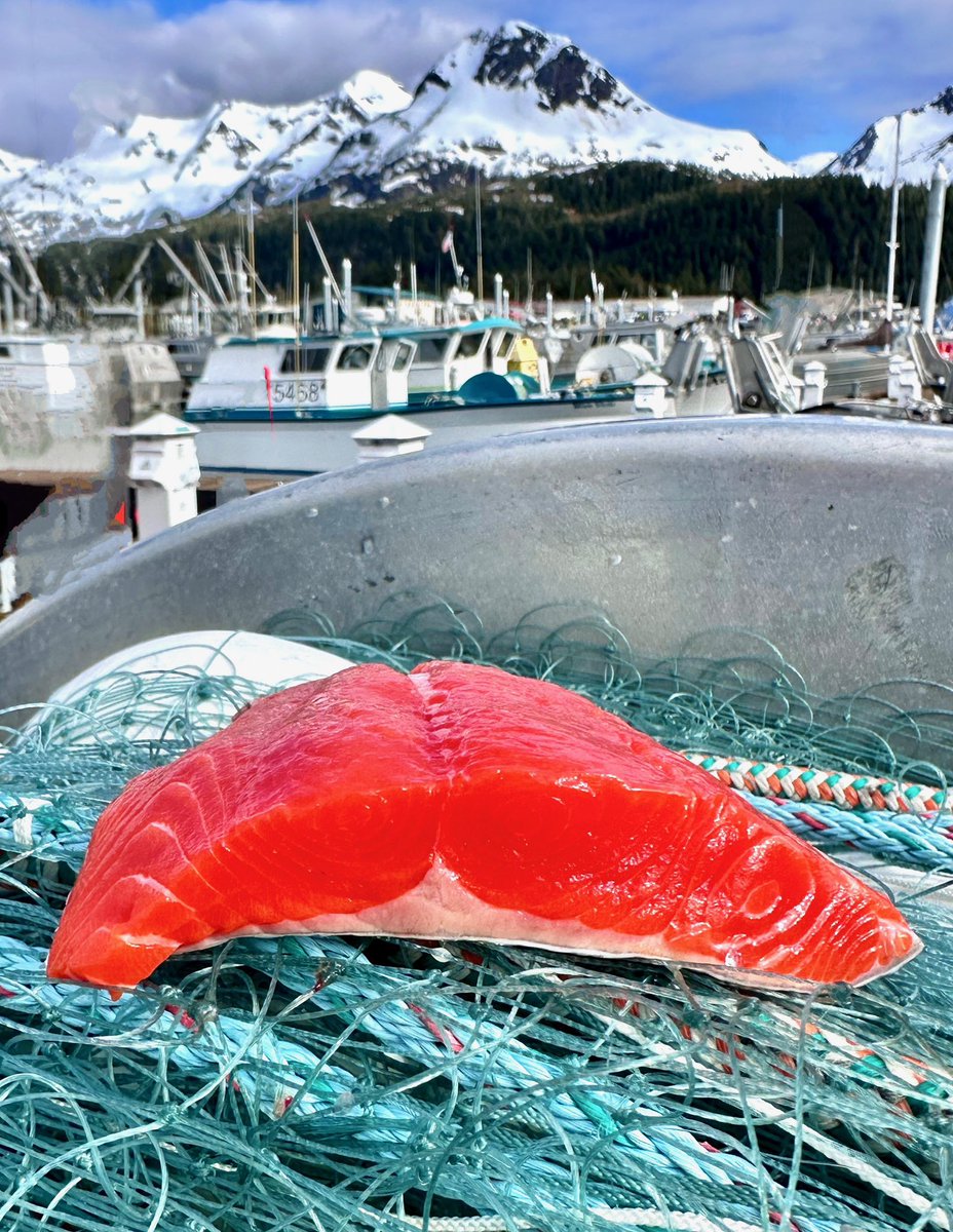 Captain_Off_Grid (@captain_0f_alts) on Twitter photo Tag your favorite sushi chef or restaurant who should be using <a href="/sleepybaysalmon/">Sleepybaysalmon</a> ‘s sushi grade wild alaskan sockeye instead of that farmed stuff they’ve been conditioned to use.. Tag your favorite sushi chef or restaurant who should be using <a href="/sleepybaysalmon/">Sleepybaysalmon</a> ‘s sushi grade wild alaskan sockeye instead of that farmed stuff they’ve been conditioned to use..