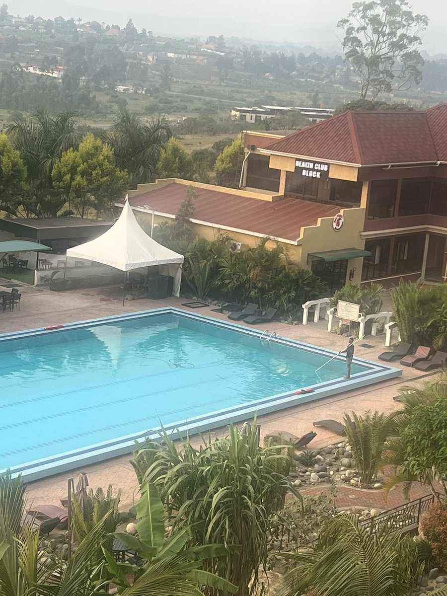 I knew I needed evidence here so I took a pic. 

I’ve caught this guy red-handedly fishing in a swimming pool 😅🙌🏽