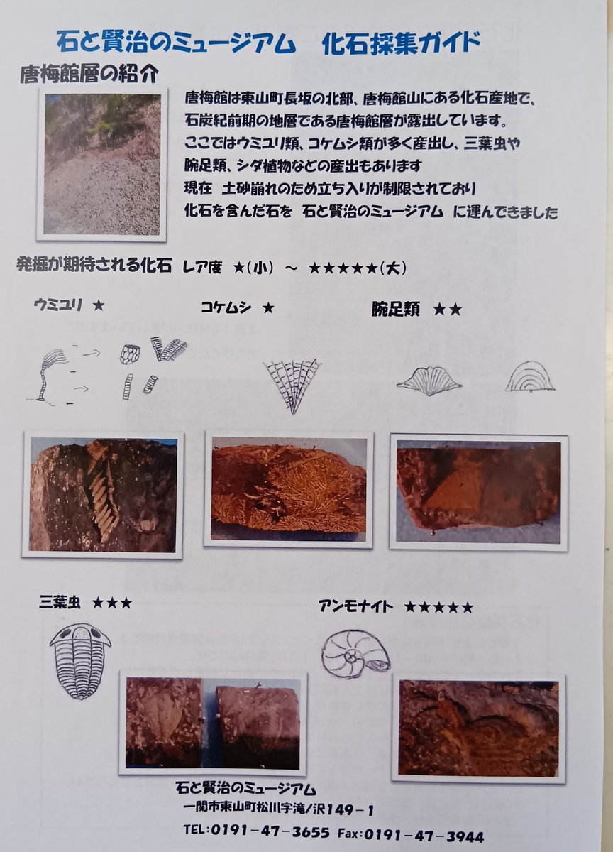 ishitokenji's tweet image. めんこいTVでの紹介で化石採集をされるご家族が増えています。新しく設置した木柵バージョンの化石採集ガイドを作成し本日から配布しております。夏場は熱中症に注意してお楽しみください。