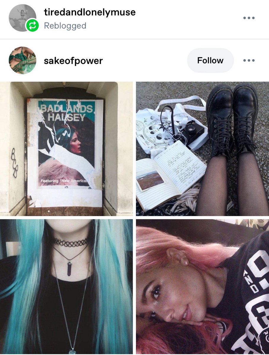 Htumblrupdates's tweet image. We are so back!!
Halsey’s reblogged post