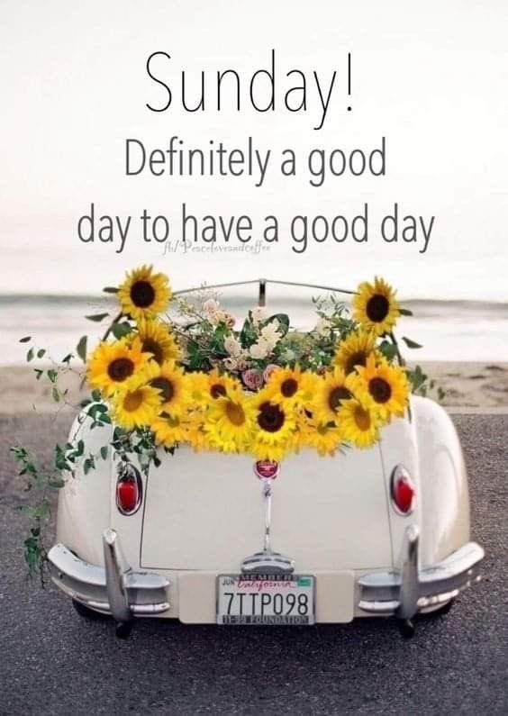 dottyelephant2's tweet image. Good morning peeps 😃☕️☀️
