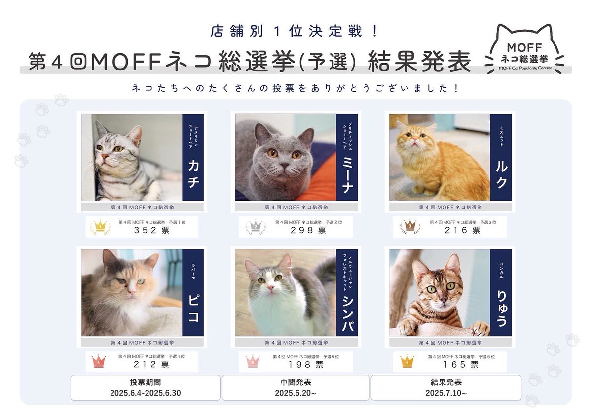 Moff animal cafeイーアスつくば店 tweet media