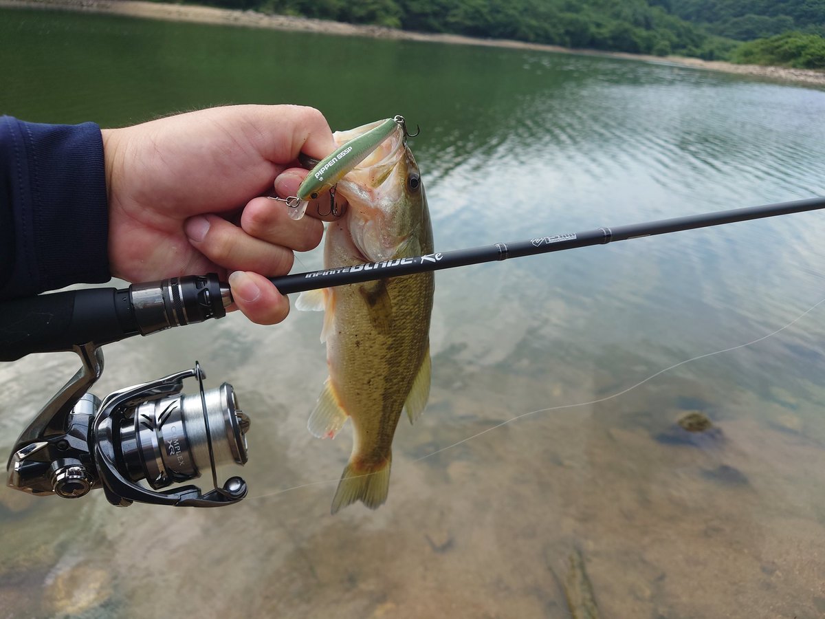 zero5677's tweet photo. リザーバーだと沈みんとピペンにて🐸✨
水悪いけど減水してるから、水入ったら釣れそうだね✨
#ism
#PIPPEN65
#INFINITEBLADE Re
#沈みん https://t.co/MenVDDGIXa