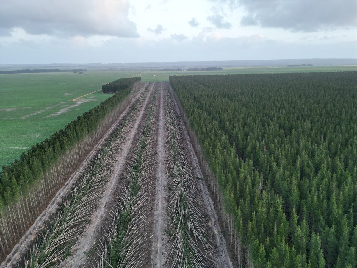 Some cool drone content over the last couple of weeks 📸 whales, crops, sprayers &amp; pushing down pine trees
