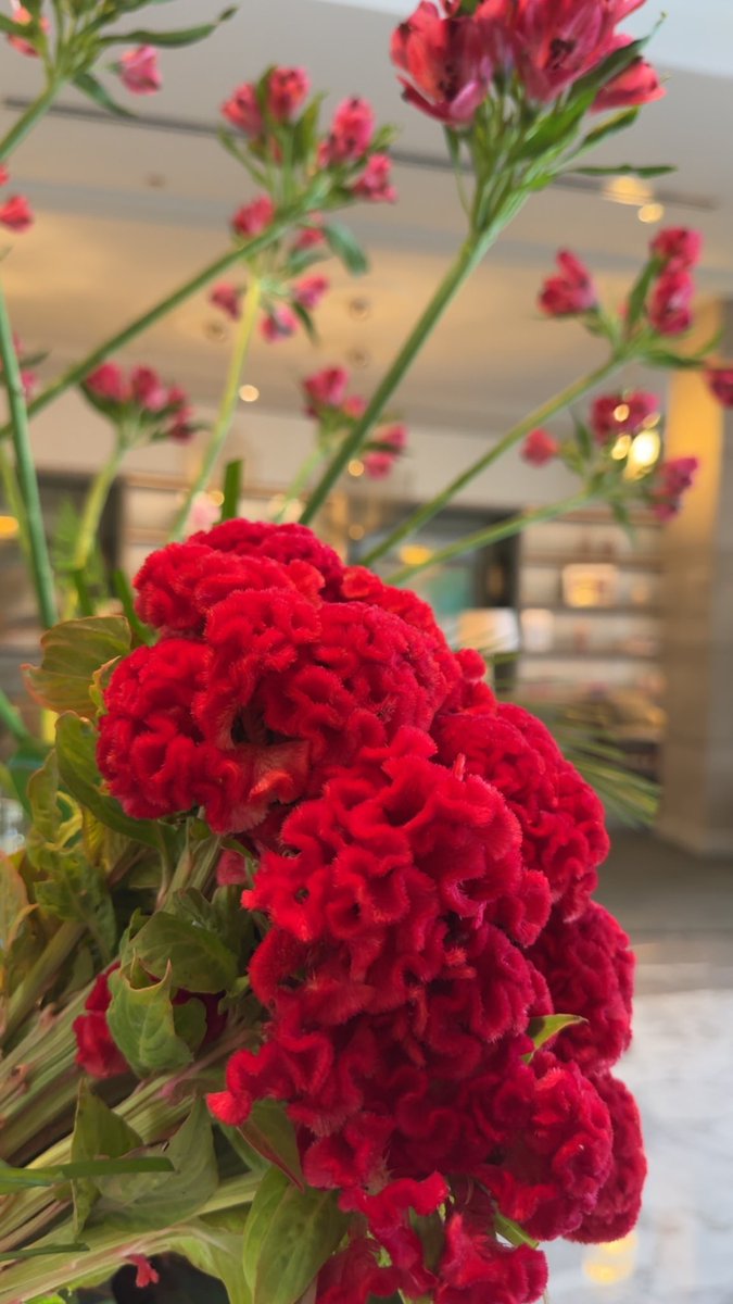 *ومضة:*
أجبروا الخواطر وراعوا المشاعر!.
، قال عليه الصلاة والسلام: (أحب الناس إلى الله أنفعهم للناس)
#ماجدة_الدهام 
#الثقافة_السعودية