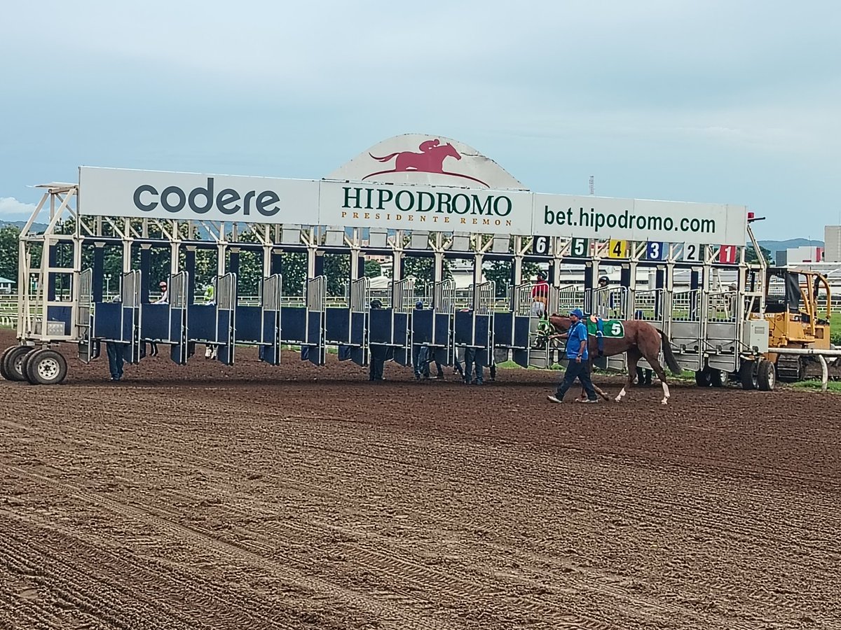Starting Gate. Hipódromo Presidente Remón. 🇵🇦

#Panamá #LaRecta507 #LaRectaFinal #HipódromoPresidenteRemón #Hípica #YerrySolis #NYRA #Hipismo