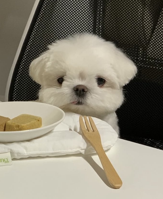 nom nom nom 😋