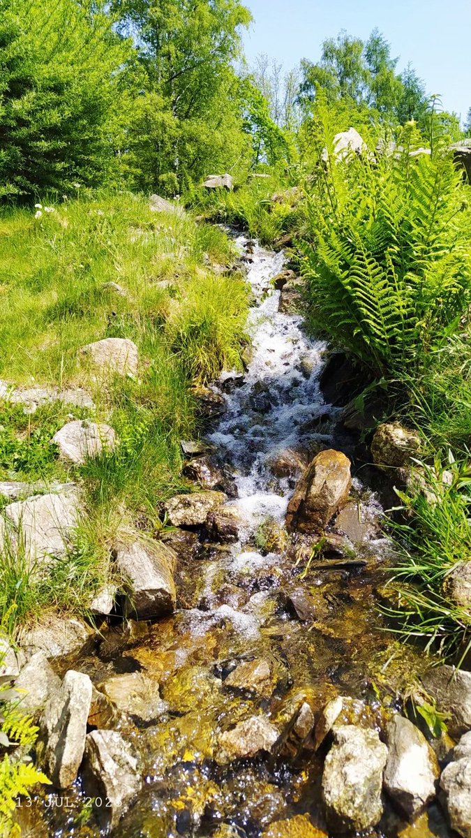 codice_nature's tweet image. Buongiorno 🌞🌈☕ e buona domenica anime belle 💝. Oggi ho scelto la camminata, 20 km. Vabbè non è lo stesso, ma la salute prima di tutto. Nel silenzio del cammino, scopro che il vero viaggio è dentro di me, nelle mie emozioni in posti meravigliosi! 😉. Bella giornata 🌹