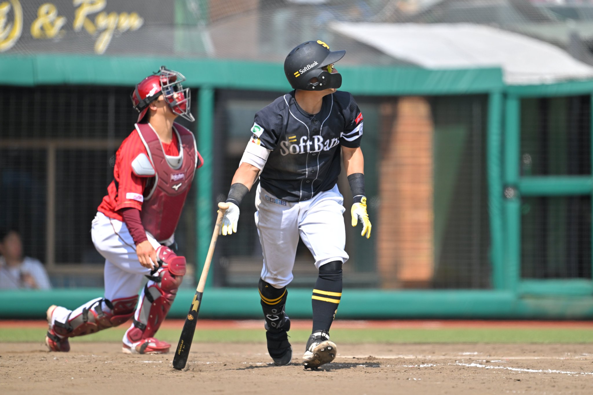 若鷹ガチャ　中村晃 若鷹ガチャ 中村晃 16点