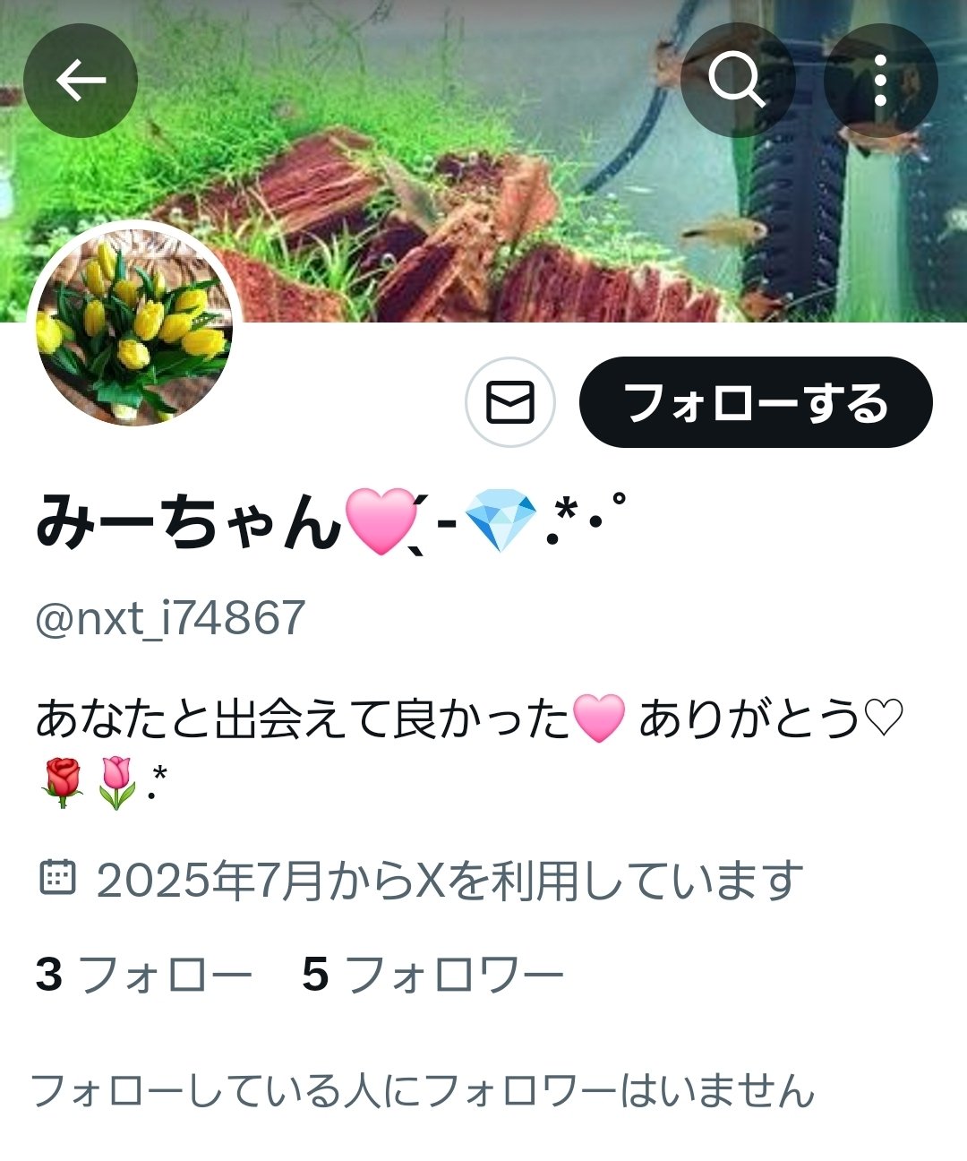 miepです( ´∀`)/~~他の方は購入不可‼ みーちゃん︎🩷 ̖́-💎️.*・ﾟ on X: 