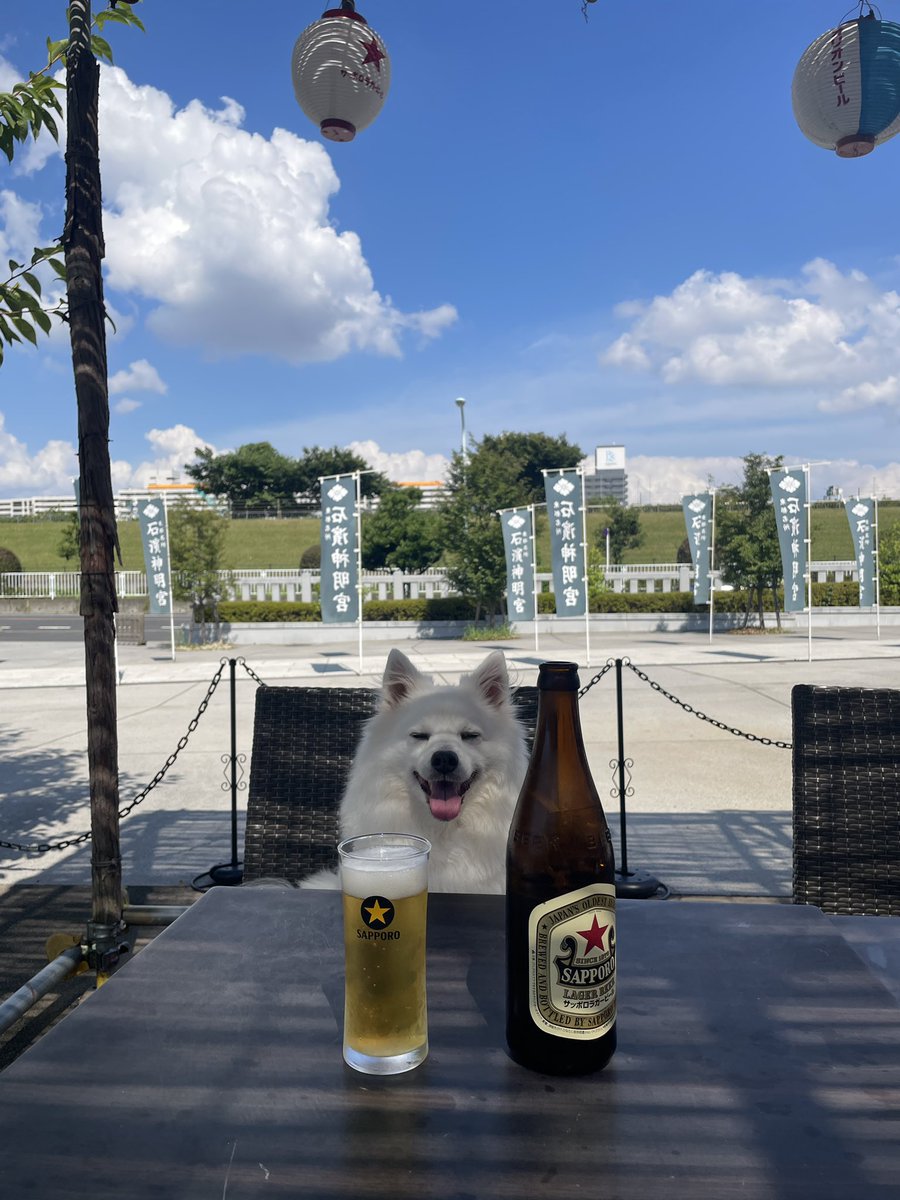 来てんじゃん、夏