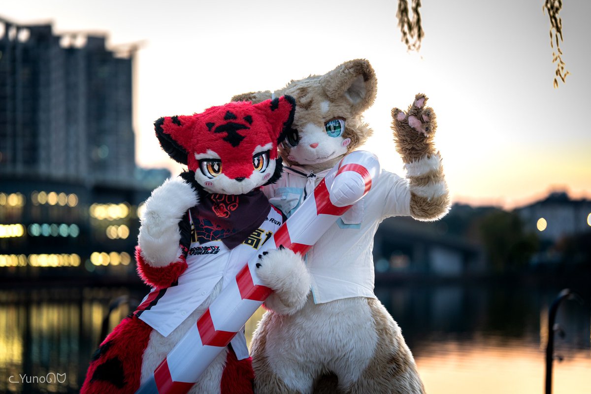 小菊发w tweet media