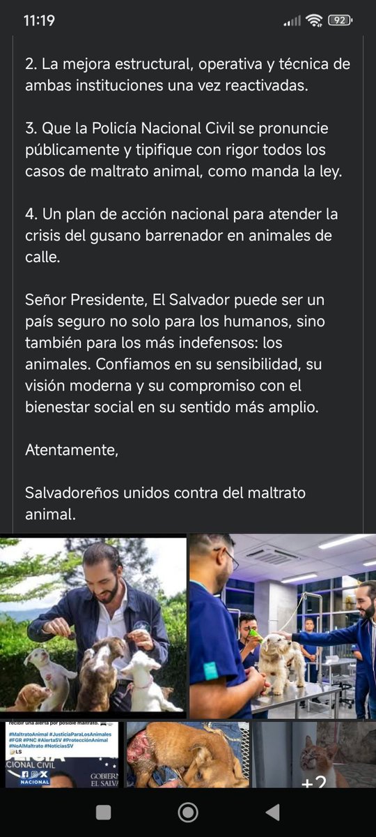VaneeGonzalez69's tweet photo. @MURPHSLIFE If you're truly proud of how far El Salvador has come, please also speak up for those who can’t.

Animals are being abused, abandoned, mutilated.

We need action — and visibility. This letter asks for both.

#NoAlMaltratoAnimal #ElSalvador https://t.co/qmn92WK1as