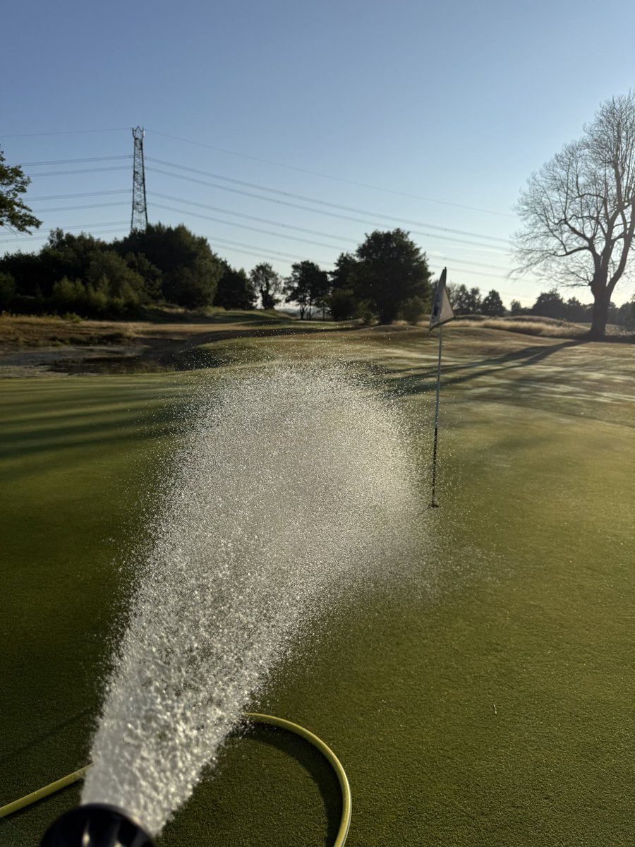 Can’t beat a morning hand watering.